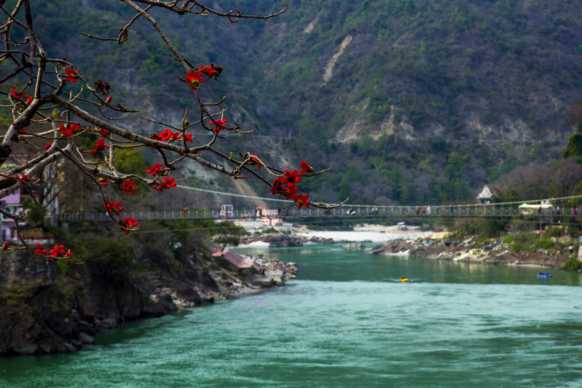 RISHIKESH, INDIA – view to Ganga river and lakshman jhula from cafe under magnolia tree