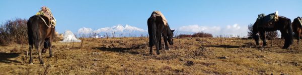 Himalayan-view-kangchenjunga