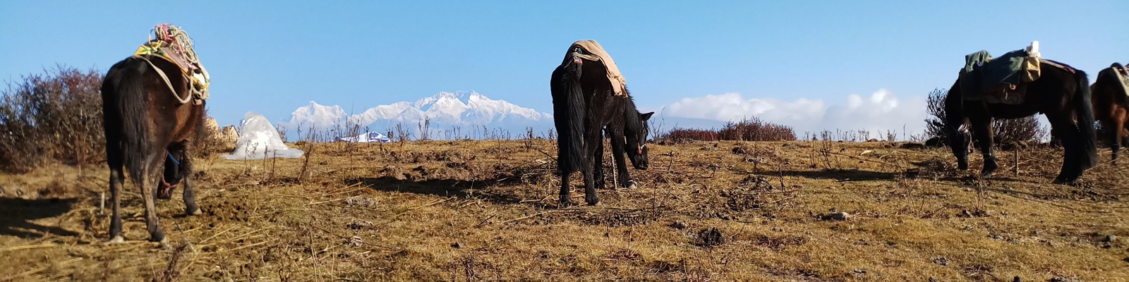 Himalayan-view-kangchenjunga