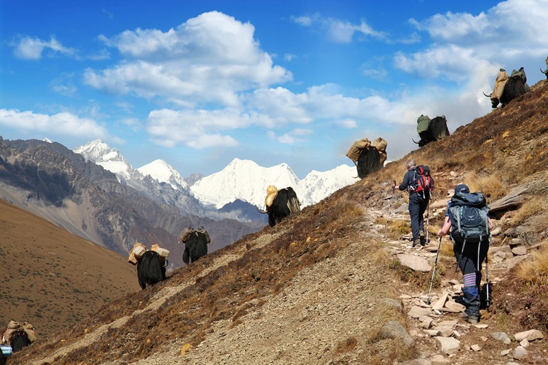Naro-Six-Pass-Trek-Bhutan