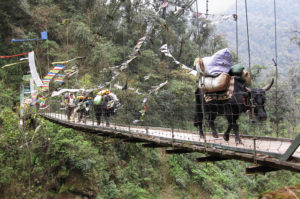 sikkim-high-circuit[