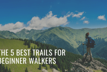 The 5 Best Trails For Beginner Walkers