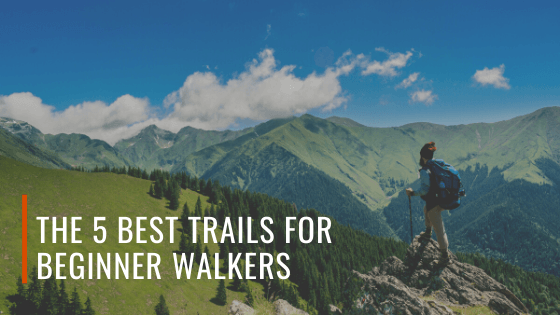 The 5 Best Trails For Beginner Walkers