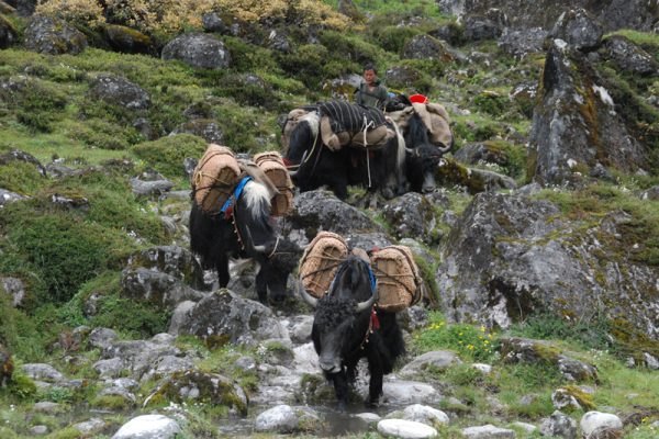 Porters-Druk-Path-Trek