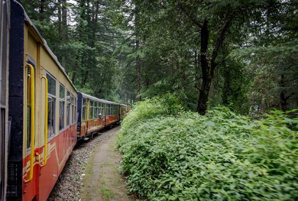 toy train Shimla